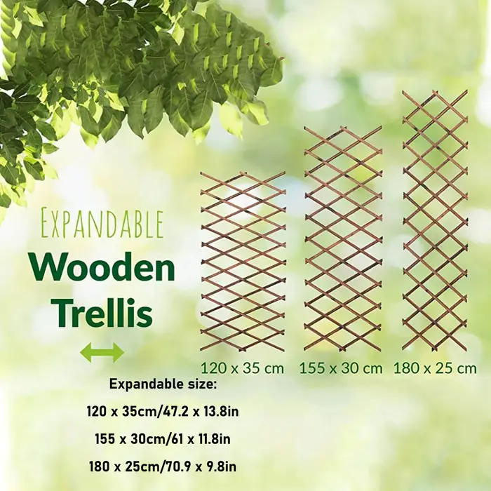 Treillis extensible pour plantes grimpantes