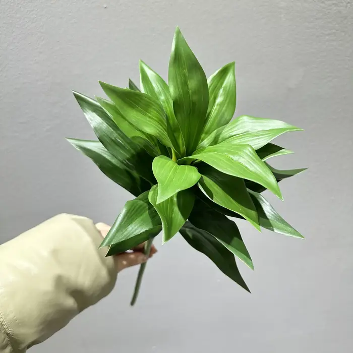 Simulation de plantes en plastique Dracaena