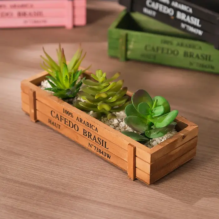 Jardinière en bois rustique pour plantes succulentes