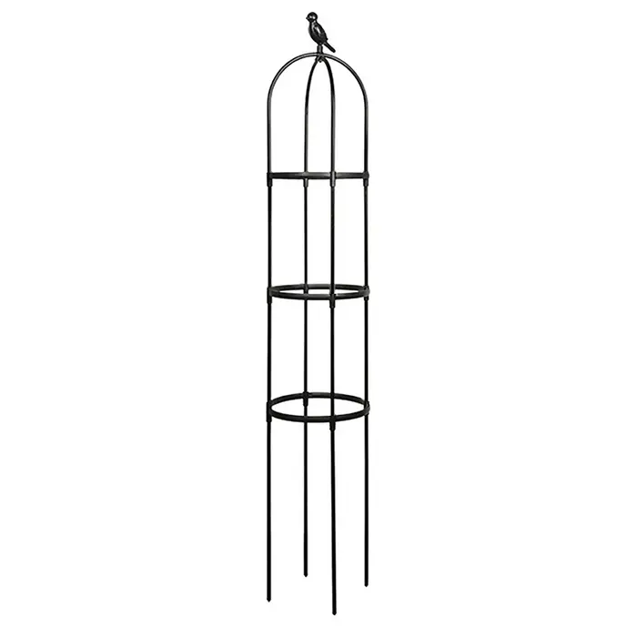 Support de jardin en treillis pour plantes grimpantes, cages pour plantes à fleurs, cadre de support