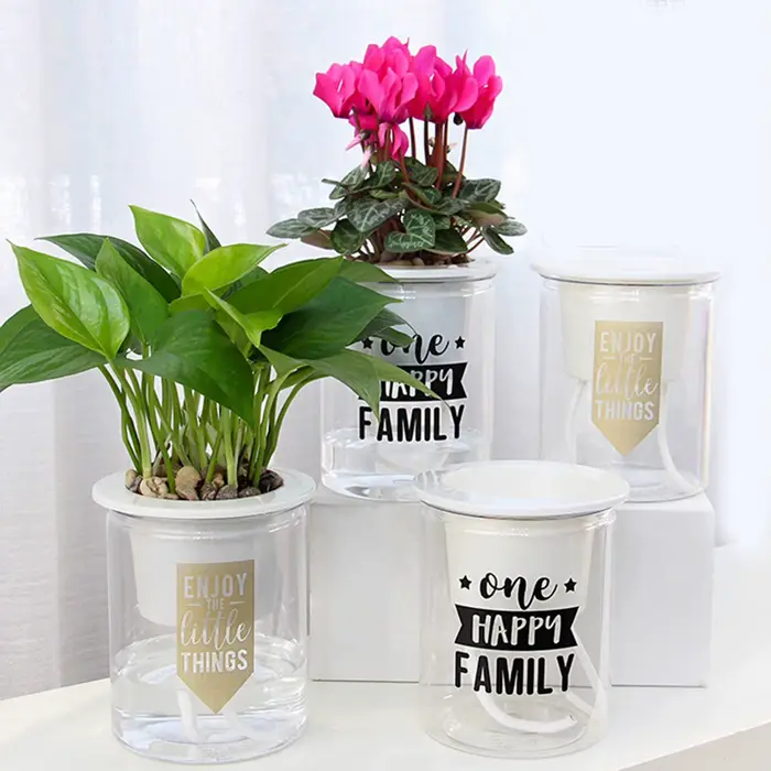 Mini Pot rond pour plantes succulentes