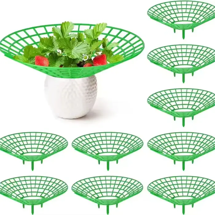 Supports pour plantes à fraises, 5 à 20 pièces, avec 3 jambes robustes, supports de culture de frais