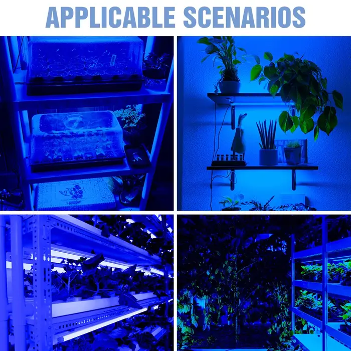 Bande lumineuse LED pour la culture des plantes, spectre complet, lampe de culture USB 5V pour semis, culture hydroponique intérieure, éclairage pour plantes succulentes en pot.