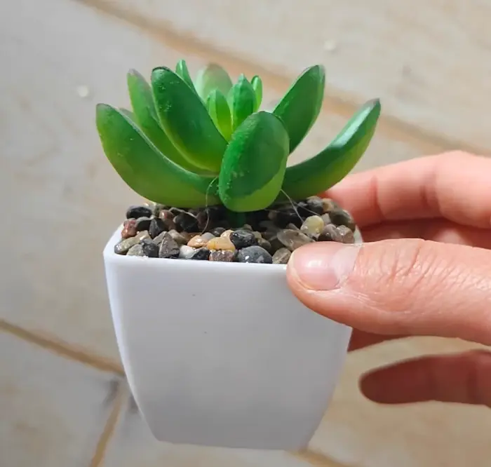 Mini Simulation succulente plante verte en pot décoration
