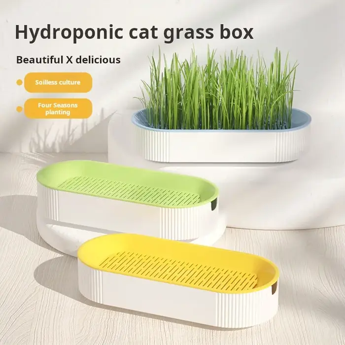 Boîte d'herbe hydroponique pour chat
