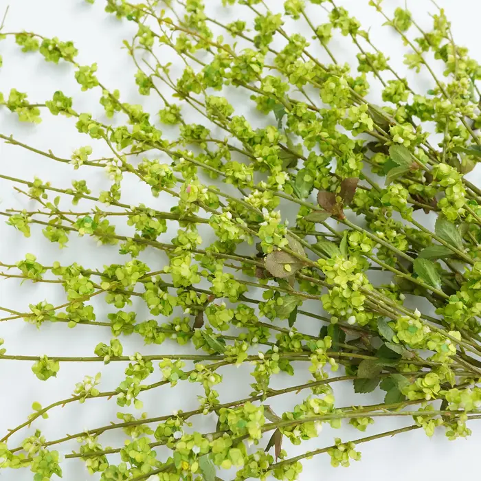 XUELY X8887 Branche de saule artificielle