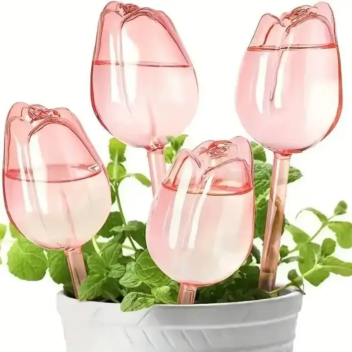 Self-watering Plant Bulbs Tulip