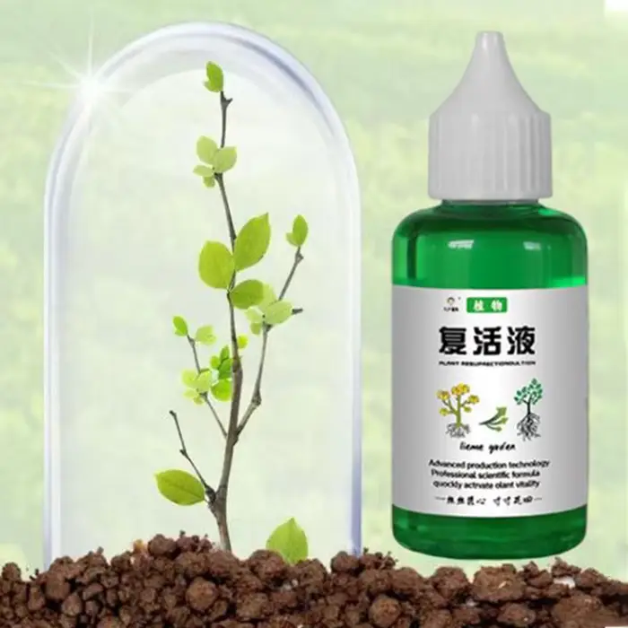 Liquide de résurrection revitalisant pour plantes 50ml concentré liquide d'engrais concentré liquide