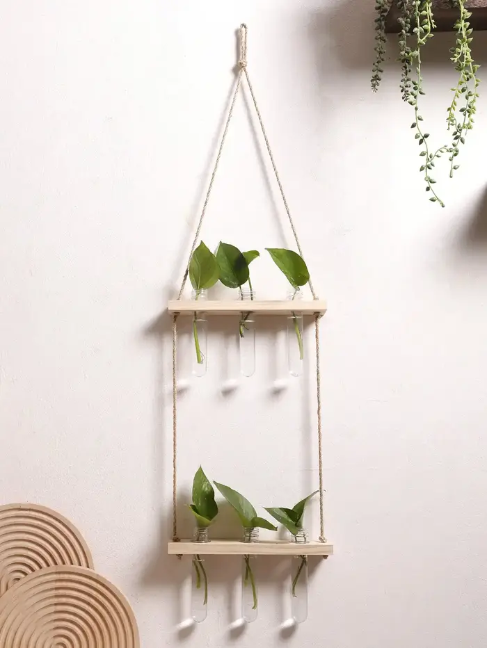 Présentoir mural de plantes à air