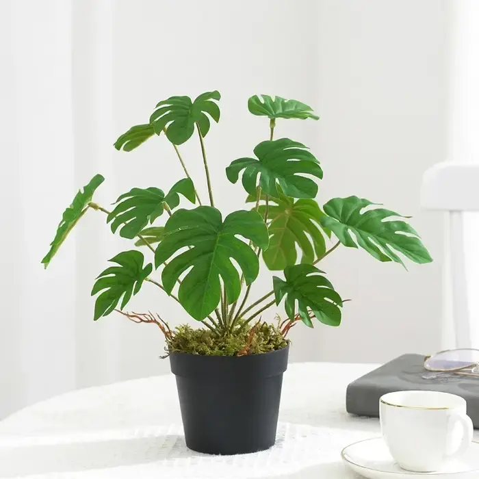Plantes Vertes Artificielles