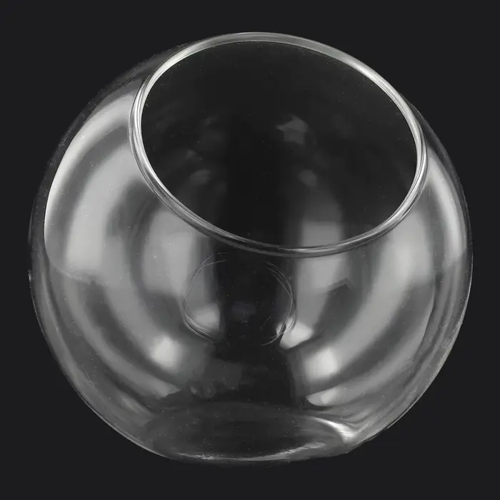 8/10/12 cm Micro paysage Vase en verre plante succulente Terrarium conteneur Pot de fleur