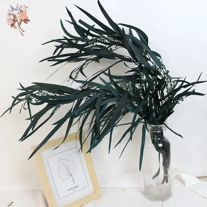Bouquets de fleurs séchées d'eucalyptus