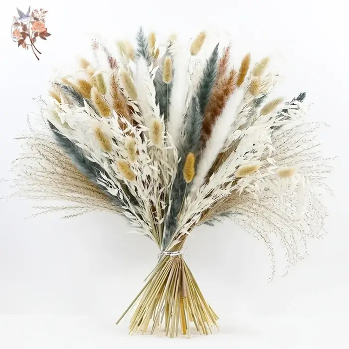 100 Pièces de Fleurs Séchées Naturelles de Pampas Moelleuses