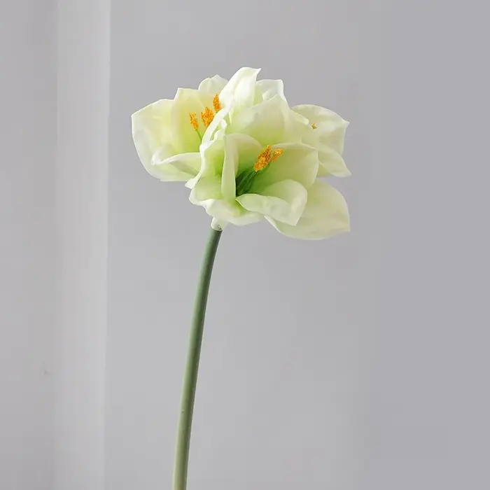 Clivia Amaryllis artificielle à tige unique de 22 pouces pour la décoration florale de la maison, des mariages, de la Saint-Valentin, l'arrangement et l'accentuation
