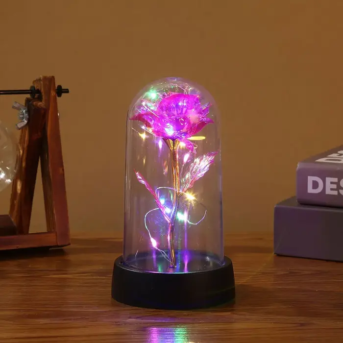 Rose galAct enchantée LED avec lumières dégradées, rose éternelle en breton, fête des mères, fête de