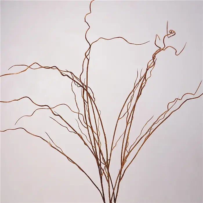 Simulation de Branches vaccées