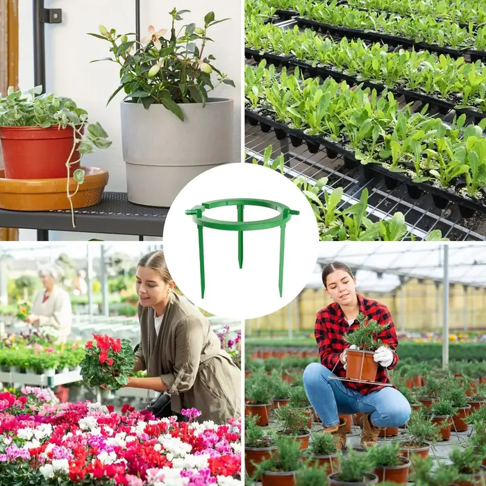Anneaux d'irrigation pour plantes
