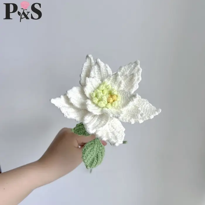 Rose mensuelle faite à la main au Crochet