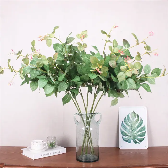 Plantes vertes pour décoration