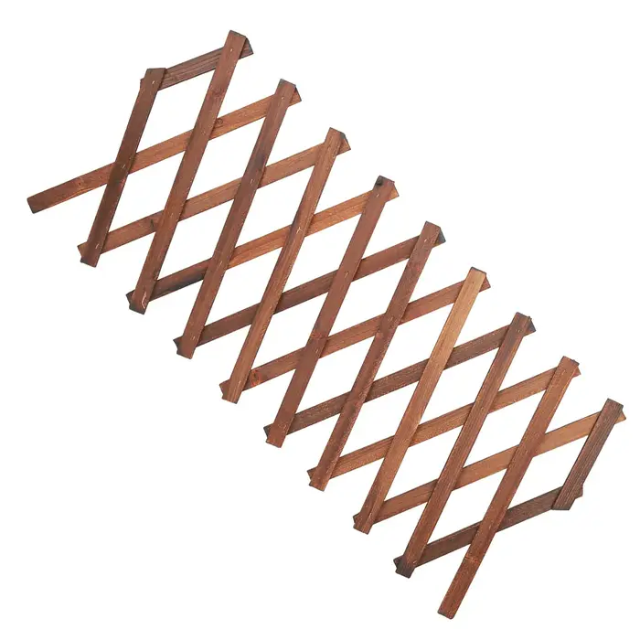Treillis extensible pour plantes grimpantes