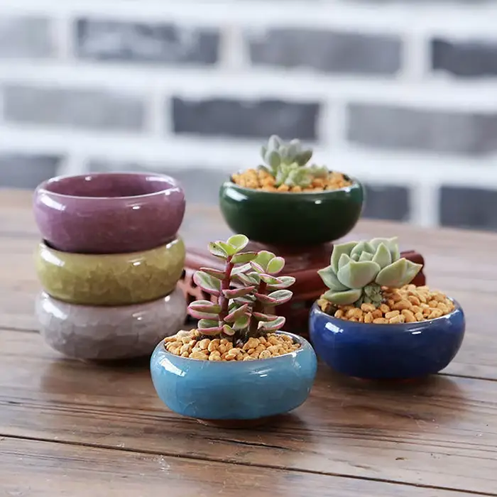 Jardinière succulente en céramique de fleur de glaçure de craquel de glace mignonne Mini Pot de plante Pot