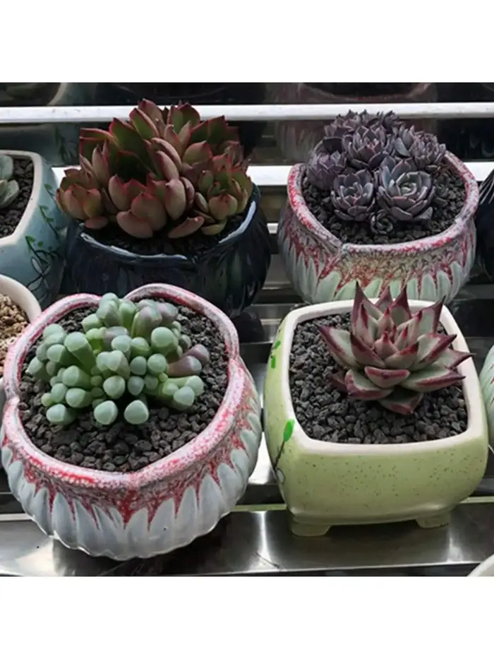 Additif de sol de roche de lave horticole noire pour plantes succulentes de cactus sans colorants ni produits chimiques