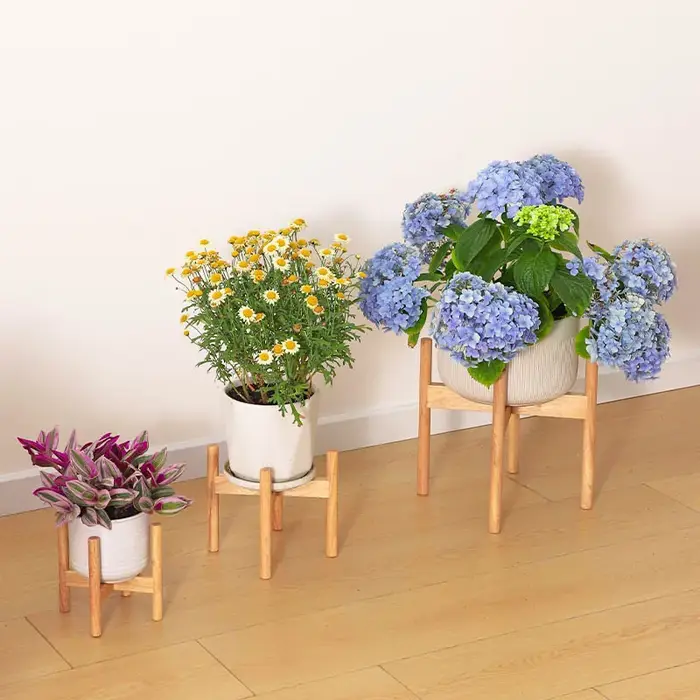 Support pour plantes en bois massif