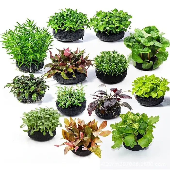 Ensemble de substrat noir en deux parties pour la plantation en aquarium ; base décorative pour protéger les racines des plantes aquatiques