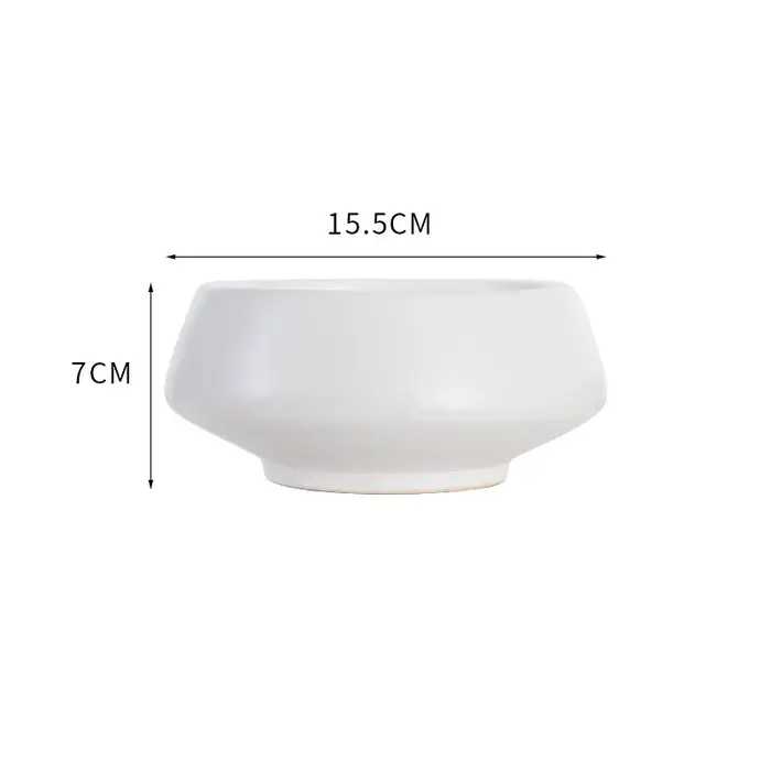 Vase rond en céramique pour fleurs hydroponiques