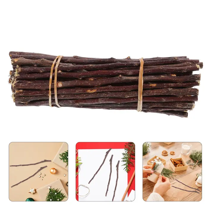 Brindilles de bouleau naturel