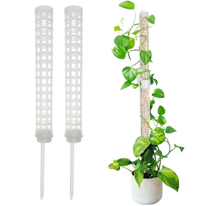 Cadre d'escalade pour plantes d'intérieur