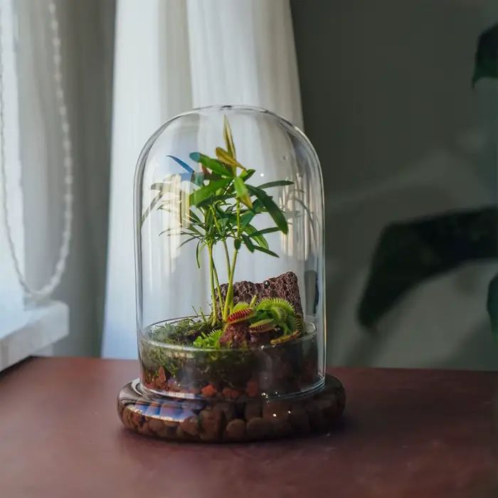 Cloche en verre avec trou d'aération