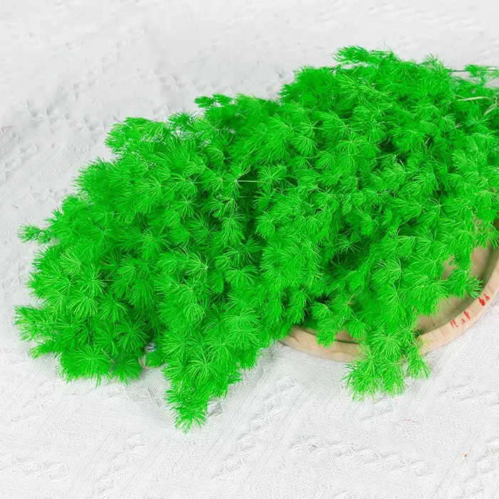 Fleur de penglai éternelle séchée, 100g, enrichie, pour table de mariage, salon, décoration de fête,