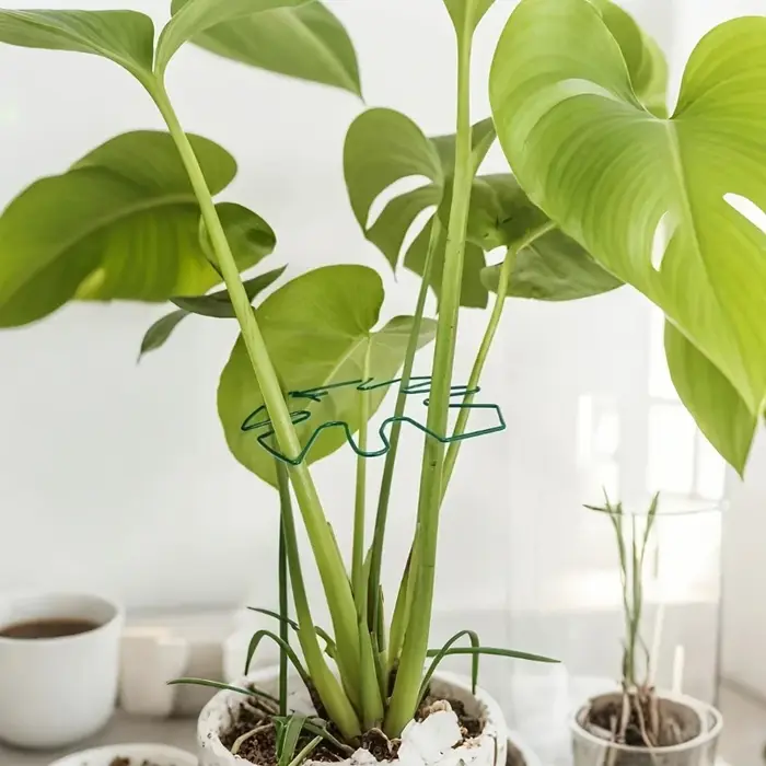 Support de plante en métal en forme de feuille de Monstera