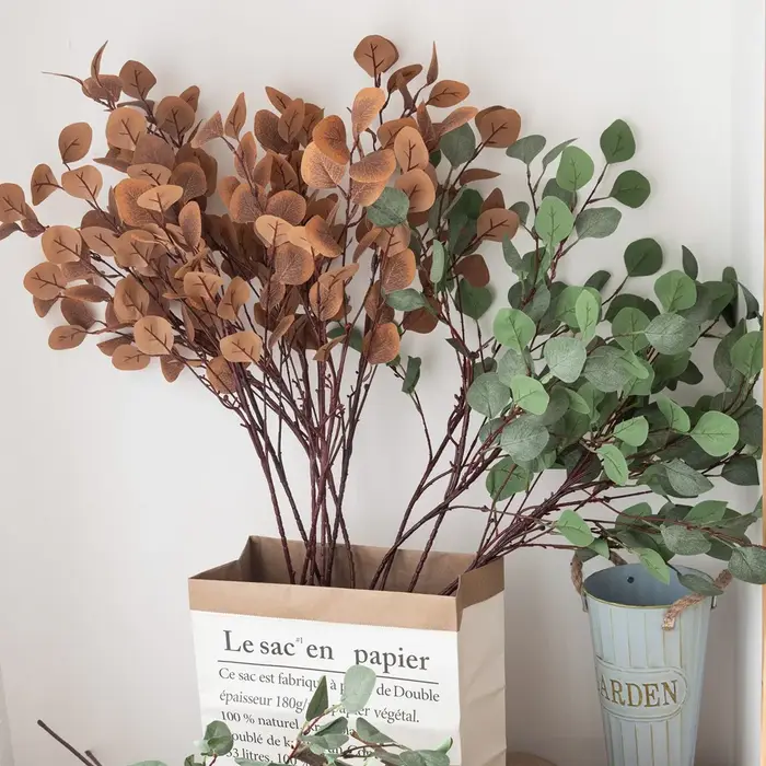 Feuilles d'eucalyptus vertes