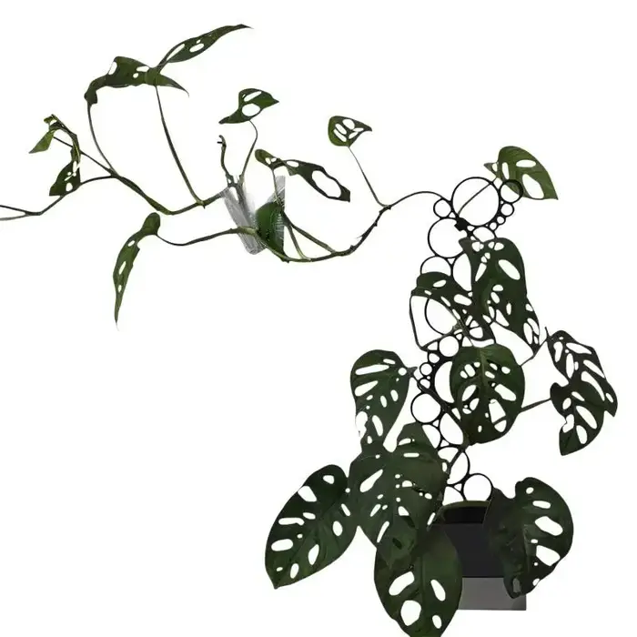 Support créatif en métal pour plantes en pot