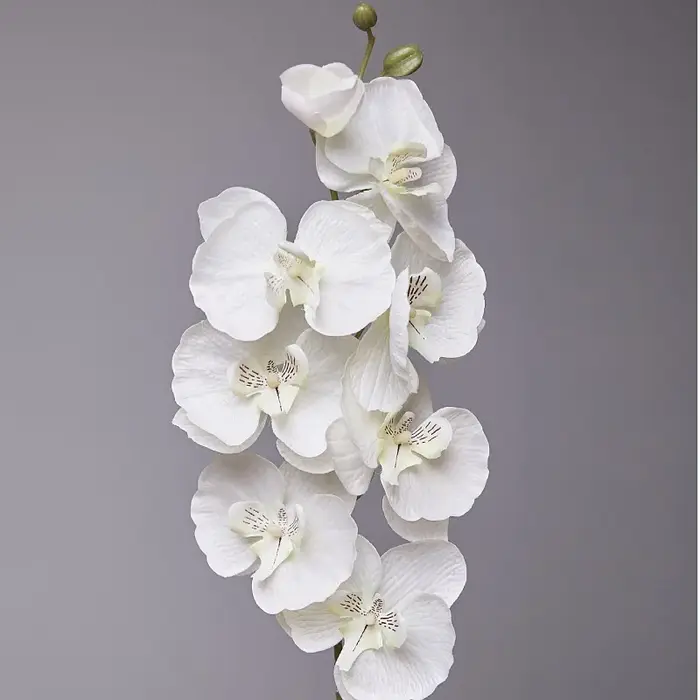 Orchidée papillon artificielle à 8 têtes