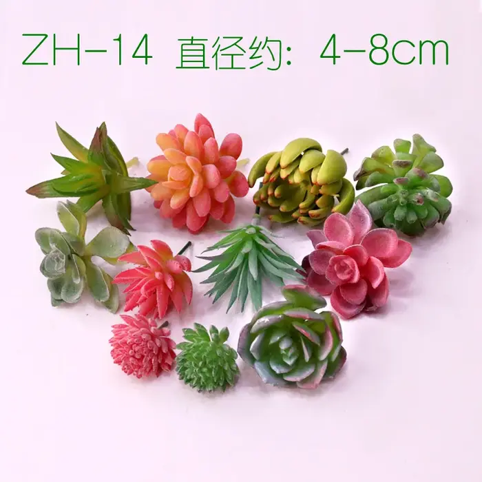 Plantes succulentes artificielles