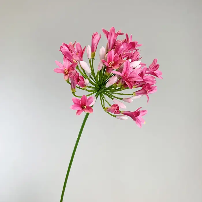 Fleurs artificielles Agapanthus de luxe de 75 cm