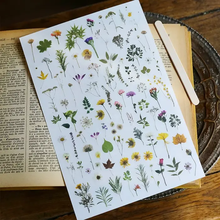 Plante feuilles fleur frotter sur autocollants esthétique Scrapbooking Journal déco transfert autocollant Album