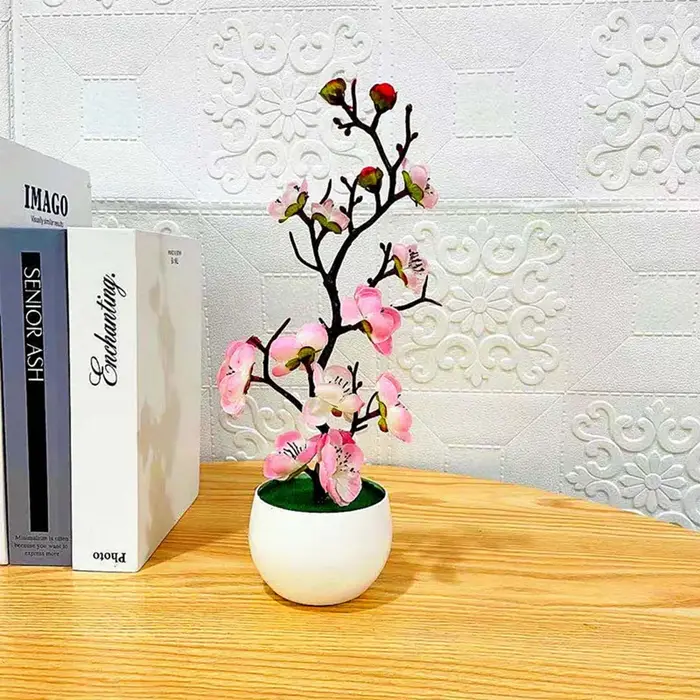 Plante en pot de fleur de prunier à usage intérieur et extérieur