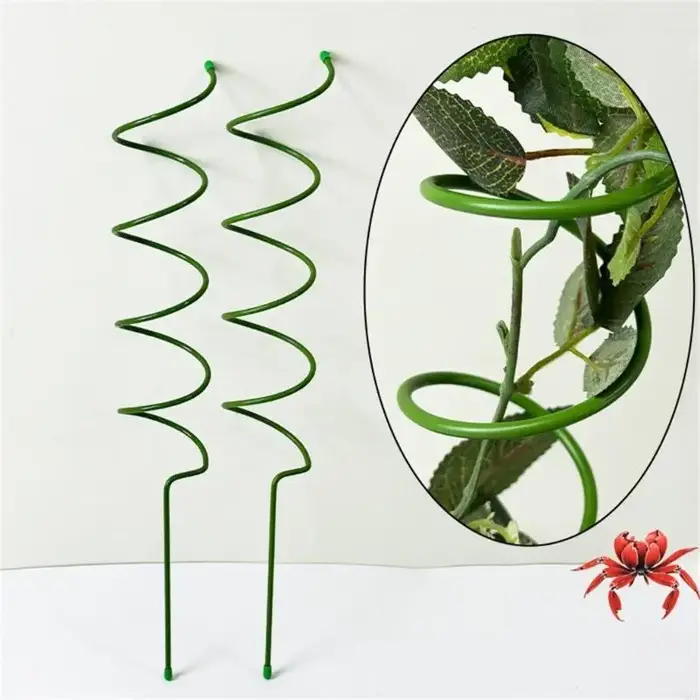 Support réutilisable pour plantes grimpantes