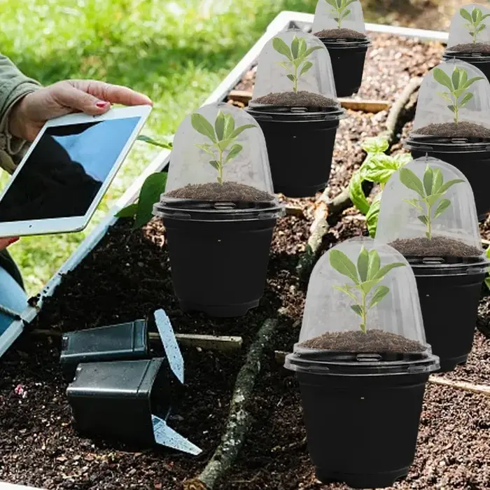 Pots de pépinière de semis