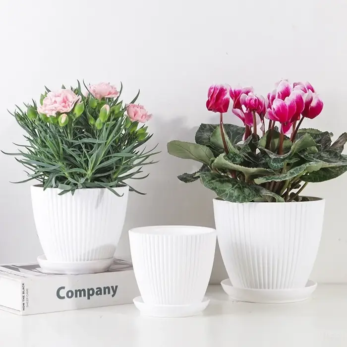 Pots de fleurs en plastique avec plateau