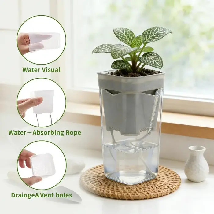 Pot de fleurs à arrosage automatique en plastique translucide avec trous de drainage pour succulentes et boutures
