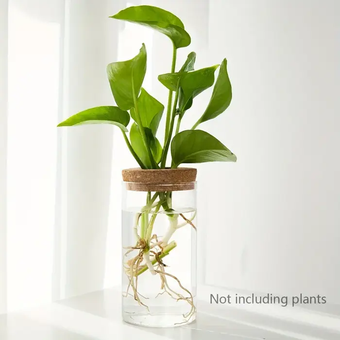 1pc, Vase de jardinière en verre de bureau pour plantes hydroponiques pour la décoration de la maison