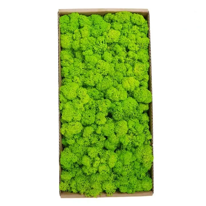 Artificial Moss Fake Moss Plant Wall Landscaping Home Decoration Diy Flower Materials Boxed Immortal