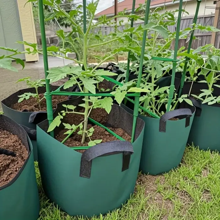 Sacs de culture en feutre vert 3/5/7 gallons pour plantes