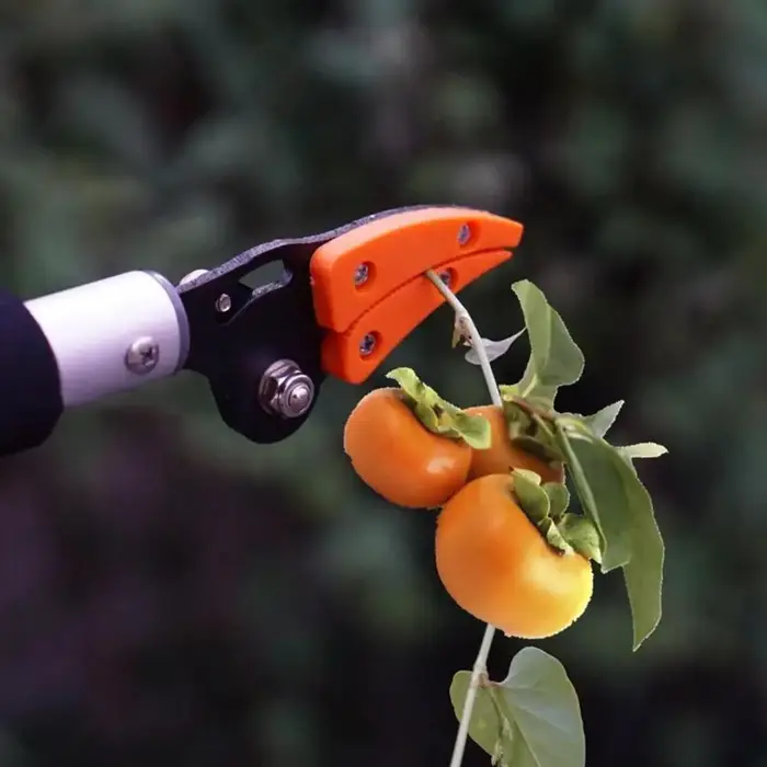 Sécateur à très longue portée en aluminium durable et léger, idéal pour les arbres fruitiers de jardin, avec perche de coupe