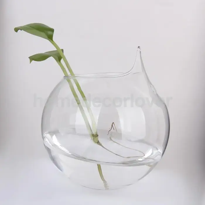 Vase en verre transparent pour plantes à fleurs